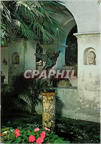 Cartes postales moderne Villa San Michele Fontaine avec petit enfant et dauphin