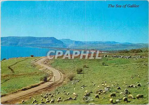 Cartes postales moderne The Sea of Galilee