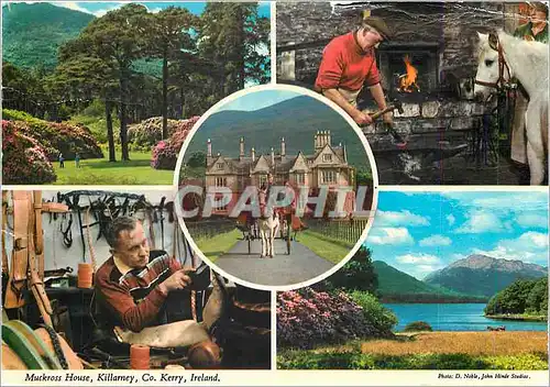 Cartes postales moderne Muskross House Killarney Ireland