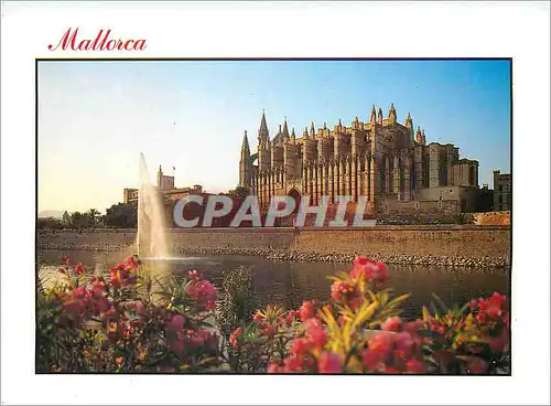 Cartes postales moderne Mallorca imageres de Baleares images de les iles Baleares