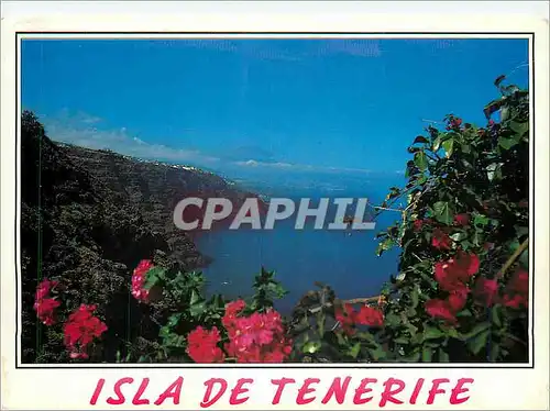 Cartes postales moderne Isla de Tenerife