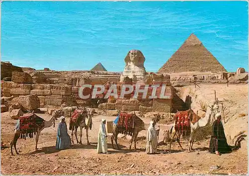 Cartes postales moderne Giza Cheops and CHaphrea