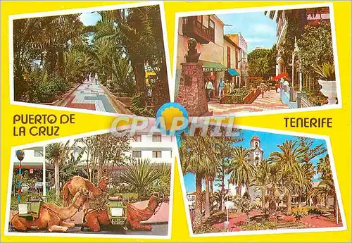 Cartes postales moderne Puerto de la Cruz Tenerife