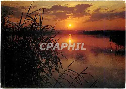 Moderne Karte Coucher de soleil sur les Etangs