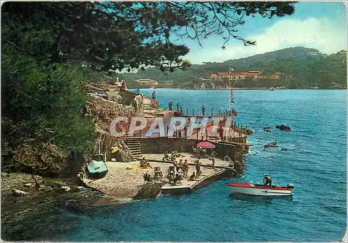 Cartes postales moderne La Cote d'Azur Giens (Var) La piscine du Provencal