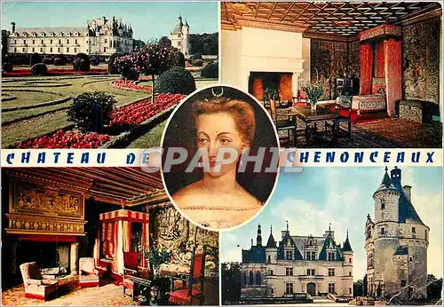 Cartes postales moderne Les Chateaux de la Loire Chenonceaux (Indre et Loire) Vue sur les Jardins chambre des cinq Reine