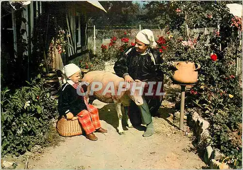 Cartes postales moderne La Normandie qu'il est doux mon petit mouton