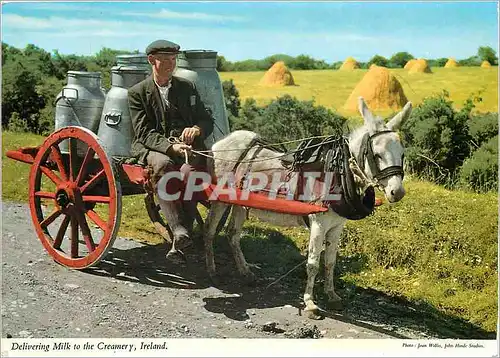 Moderne Karte Belivering milk to the Creamery Ane Mule