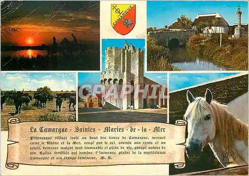 Cartes postales moderne La Camargue Saintes Maries de la Mer Coucher de Soleil Cabanes de Gardians et la Croix de Felibr