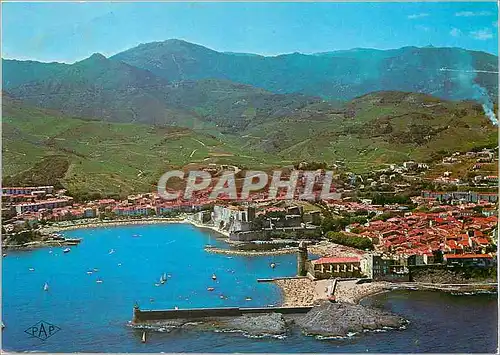 Cartes postales moderne Collioure Vue generale