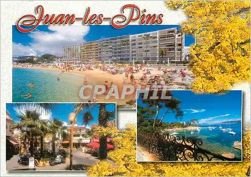 Cartes postales moderne Juan es Pins (Alpes Mmes) Cote d'Azur French Riviera