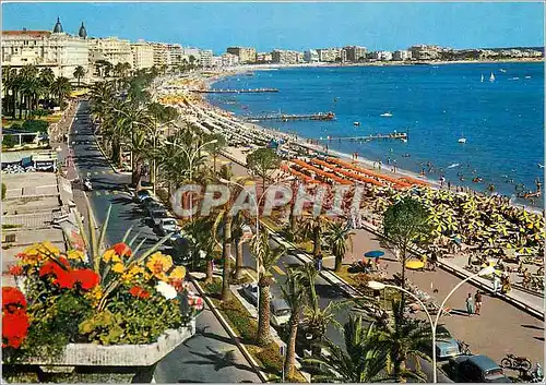 Cartes postales moderne Cannes La Croisette et la Plage