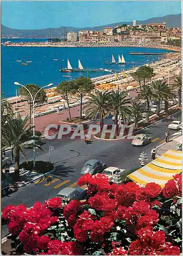 Cartes postales moderne Cannes Cote d'Azur French riveira La croisette au fond le Suquet