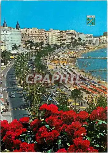 Cartes postales moderne Cannes La Croisette et les Plages