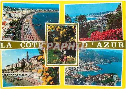 Cartes postales moderne Au soleil de la cote d'Azur Cannes Nice Menton Monaco