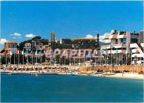 Cartes postales moderne Cannes Les jardins du palais des Festivals et le Suquet