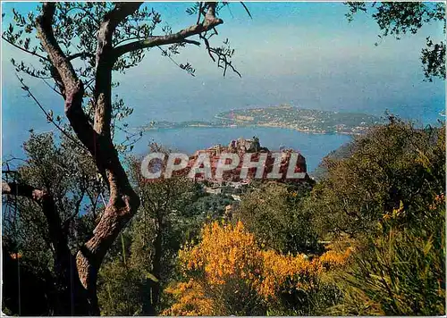 Cartes postales moderne Les Sites Merveilleux de la Cote d'Azur Eze (A Mmes) Le pittoresque village au fond le cap ferra