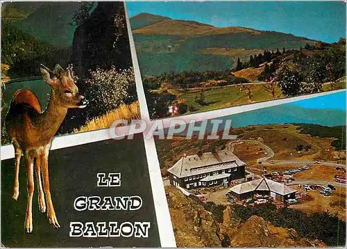 Cartes postales moderne Les Vosges Pittoresques Grand Ballon Sommet culminant des Vosges (1427 m) l'Hotel Restaurant