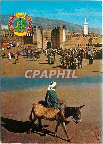 Cartes postales moderne Maroc