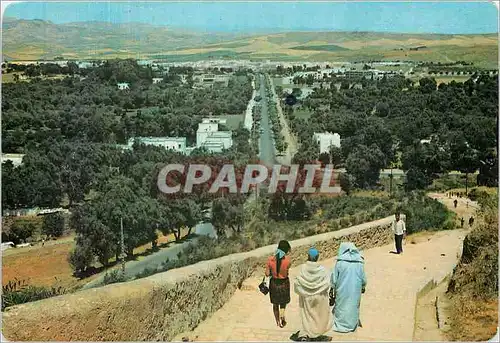 Cartes postales moderne Royaume du Maroc Oasis de Fraicheur dans l'infini des Collines