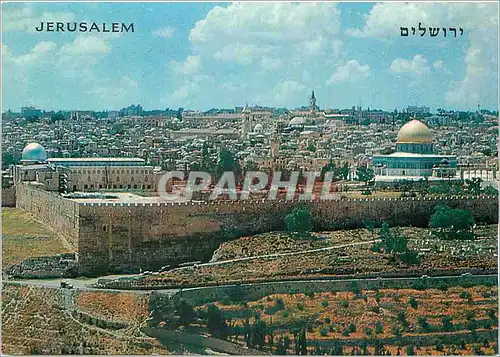 Cartes postales moderne Jerusalem Seen From Mt Pf Olives le jardin de Gehtsemano et la Porte doree