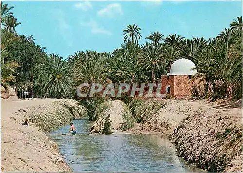 Cartes postales moderne Shiraz mASJID wAKIL