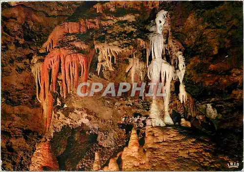 Cartes postales moderne La Cote d'Azur French Riviera les grotte de Saint Cezaire (A M les squelette et les Orgues