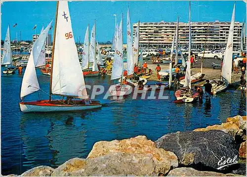 Cartes postales moderne La Cote Vermeille Saint Cyprien (Pyr Or) Le port depart de regate