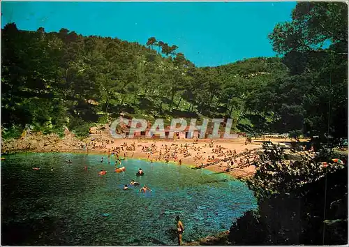 Cartes postales moderne Saint Cyr les Lecques La Calanque du Port d'Aion