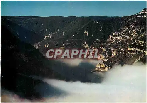 Cartes postales moderne Les Gorges du Tarn Sainte Enimie (Lozerre) Mer de nuages dans les Gorges