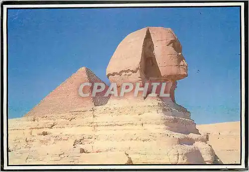 Cartes postales moderne Cairo Les pyramides