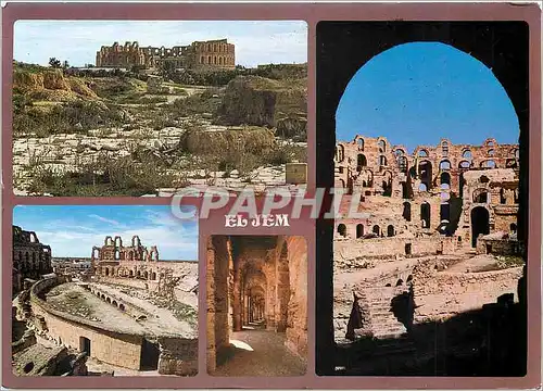 Cartes postales moderne L'amphitreatre d'el Jem