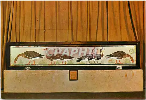 Cartes postales moderne La Musee Egyptien Cairo Penture sur Platre de six oies de Meidun 4e dynastie 2720 av J C