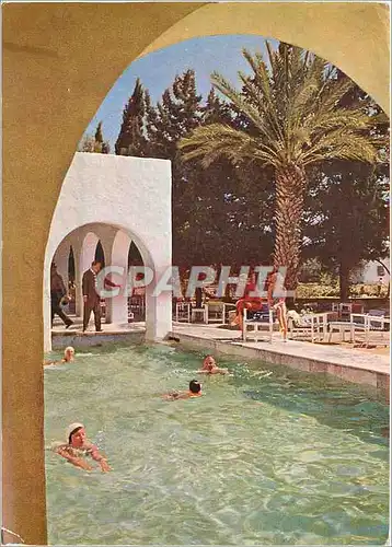 Cartes postales moderne Hotel Miramar Hammamet (Tunisie) La piscine