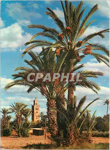 Cartes postales moderne Marrakech Vue sur la Koutoubla