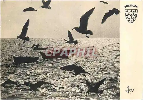 Cartes postales moderne Skritur Dianav Grand Troidennou ho nij abaoe milvedou