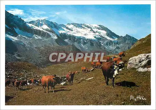 Moderne Karte Randonnee en Montagne Vaches