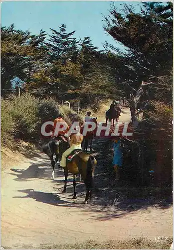 Cartes postales moderne Promenade equestre en vendee