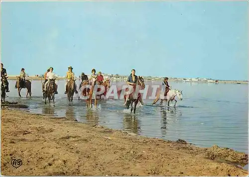 Cartes postales moderne Sur les bords de la Mediterranee Promenade sur la Plage