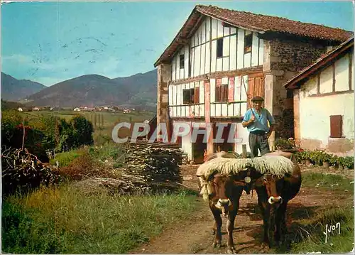 Cartes postales moderne Couleurs et Lumiere de France Le Pays Basque Ferme et attelage basques