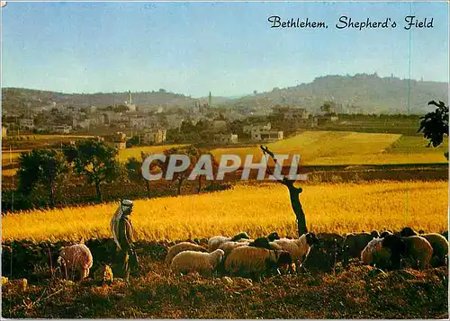 Moderne Karte Bethlehem Shepherd's Field