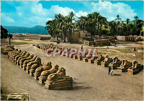 Cartes postales moderne Karnak The Sphinx Avenue
