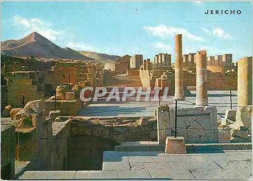 Cartes postales moderne Le Palais de Hisham pres de Jericho