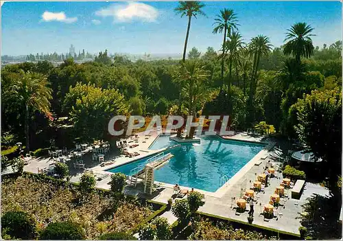 Cartes postales moderne Marrakech Hotel Mamounia La Piscine