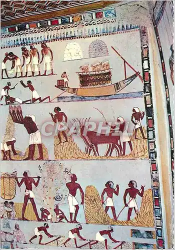 Cartes postales moderne Louxor Tombes des Nobles Peintures murales dans la Tombe de Menna