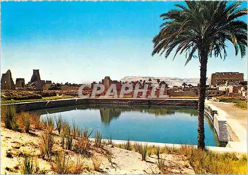 Cartes postales moderne Louxor Karnak Le Lac Sacre