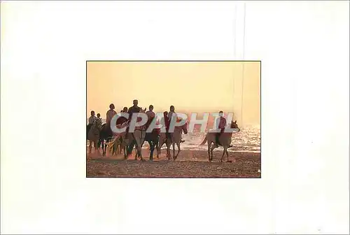 Cartes postales moderne Cavaliers sur la plage