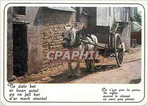 Cartes postales moderne Sagesse de Bretagne Attelage Cheval