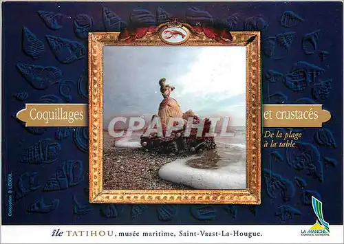 Cartes postales moderne Ile Tatihou musee maritime Saint Vaast La Hougue Coquillages et crustaces