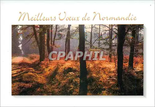 Cartes postales moderne Meilleurs Voeux de Normandie
